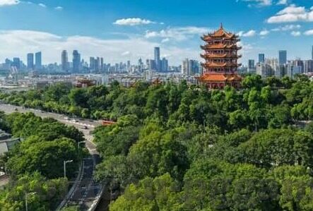 98世界杯巴西赛果-98世界杯巴西赛果，传奇与遗憾的交织